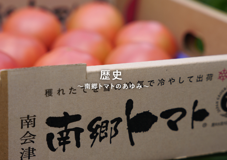 南郷トマトが箱詰めされている。